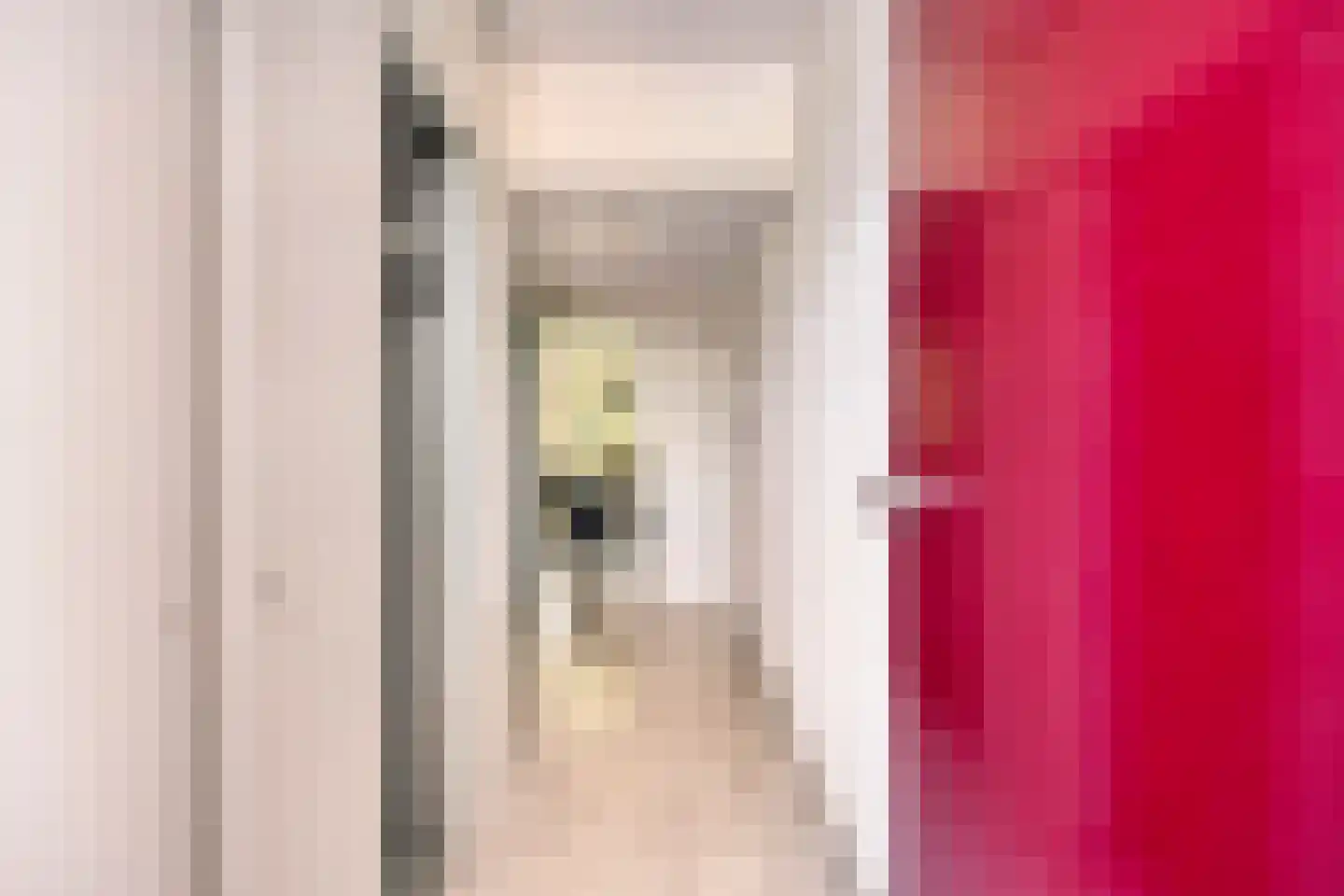 Kard. de Jongstraat 3 Valkenswaard thumbnail 4