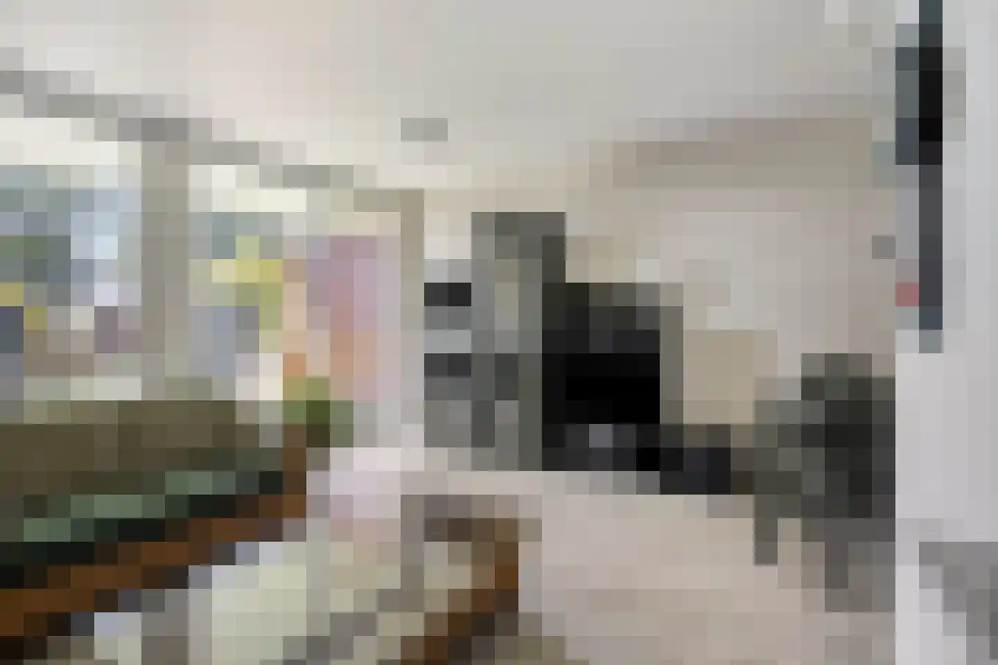 Kard. de Jongstraat 3 Valkenswaard thumbnail 6