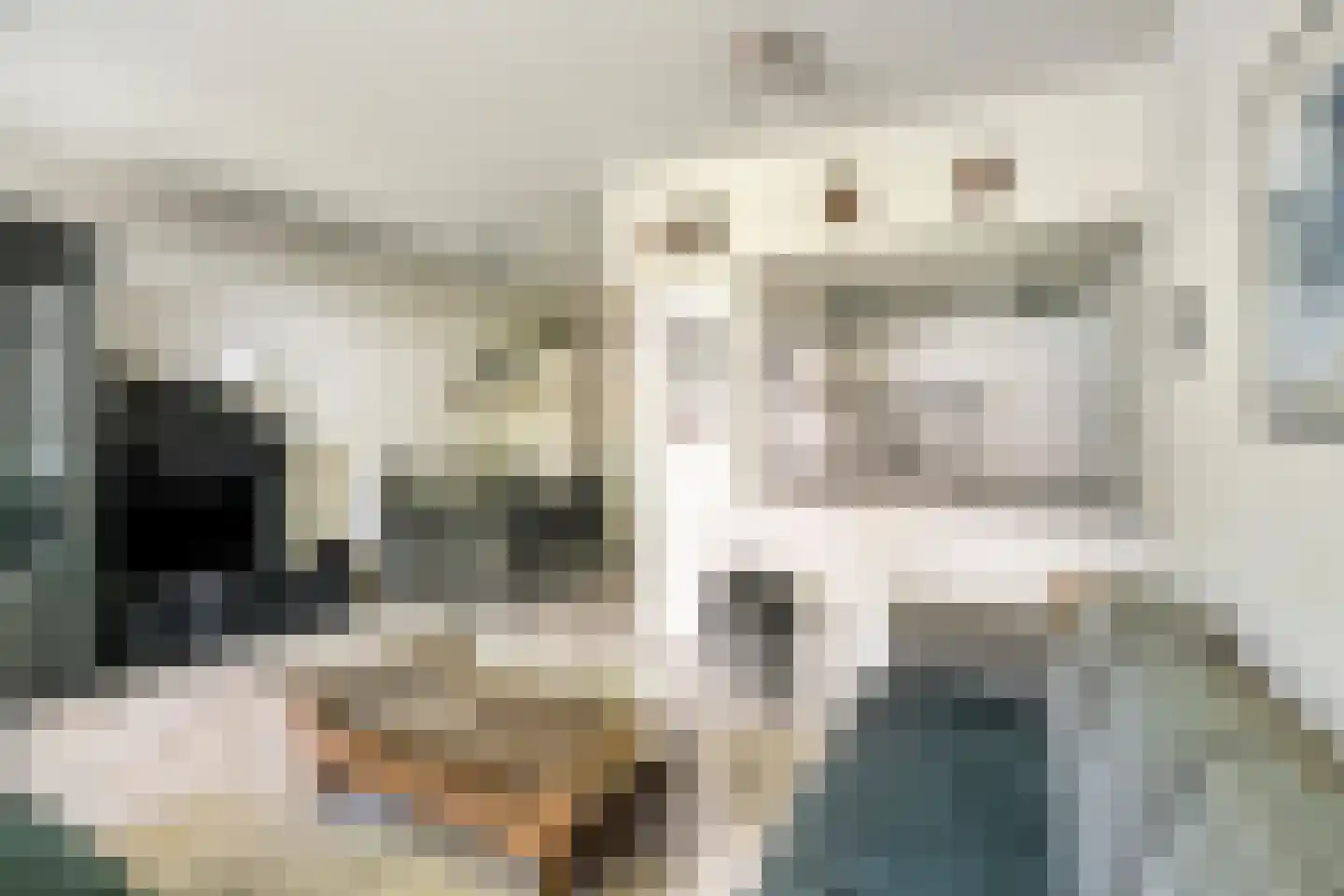 Kard. de Jongstraat 3 Valkenswaard thumbnail 7