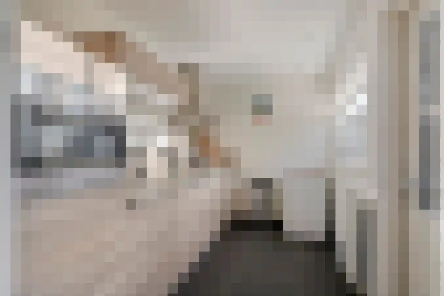 Kard. de Jongstraat 43 Valkenswaard thumbnail 13