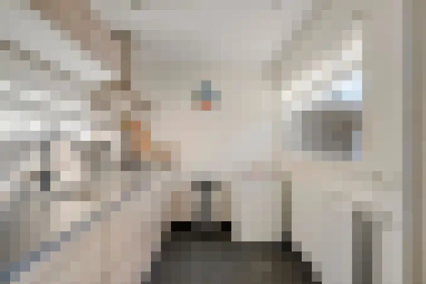 Kard. de Jongstraat 43 Valkenswaard thumbnail 14