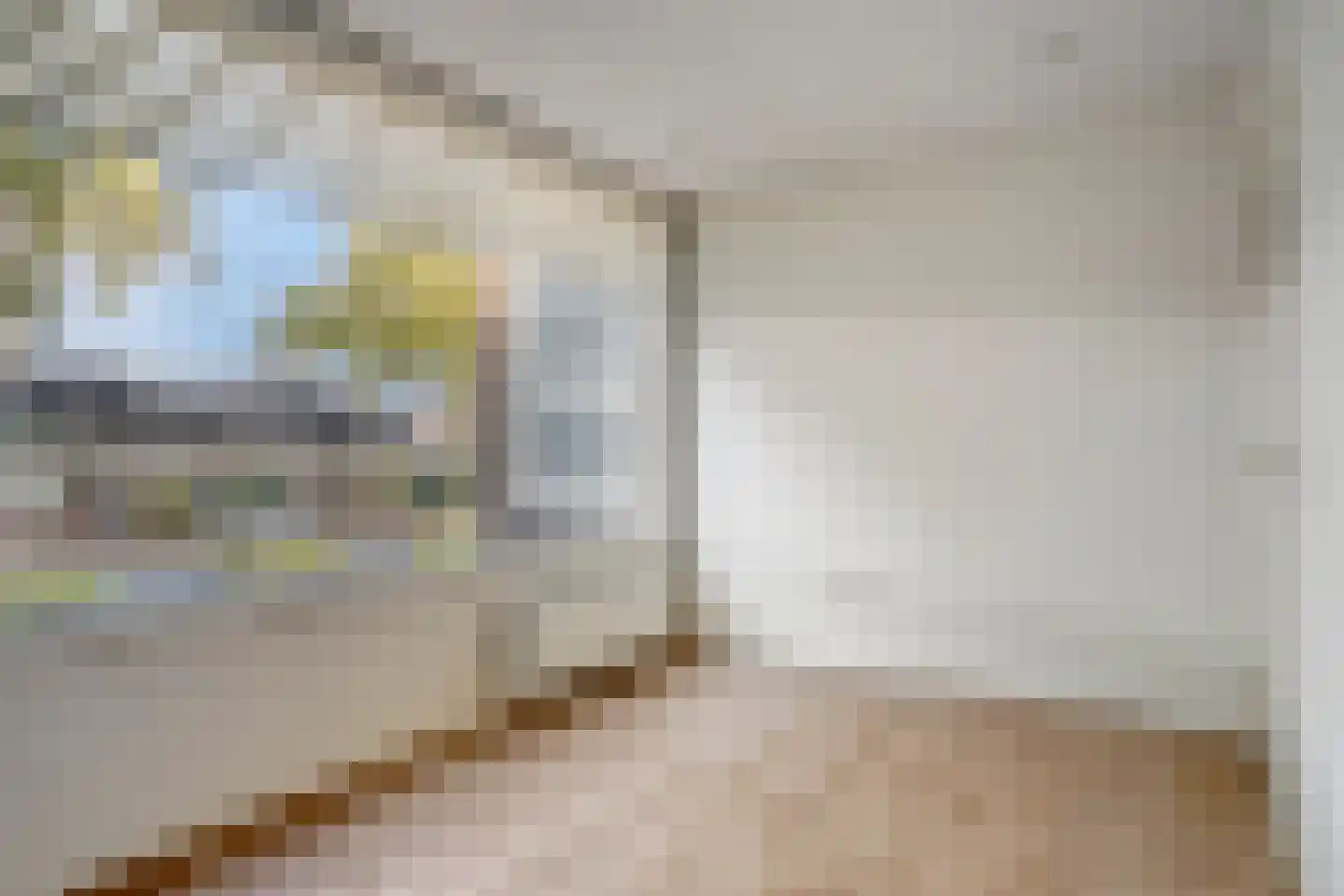Kard. de Jongstraat 43 Valkenswaard thumbnail 21