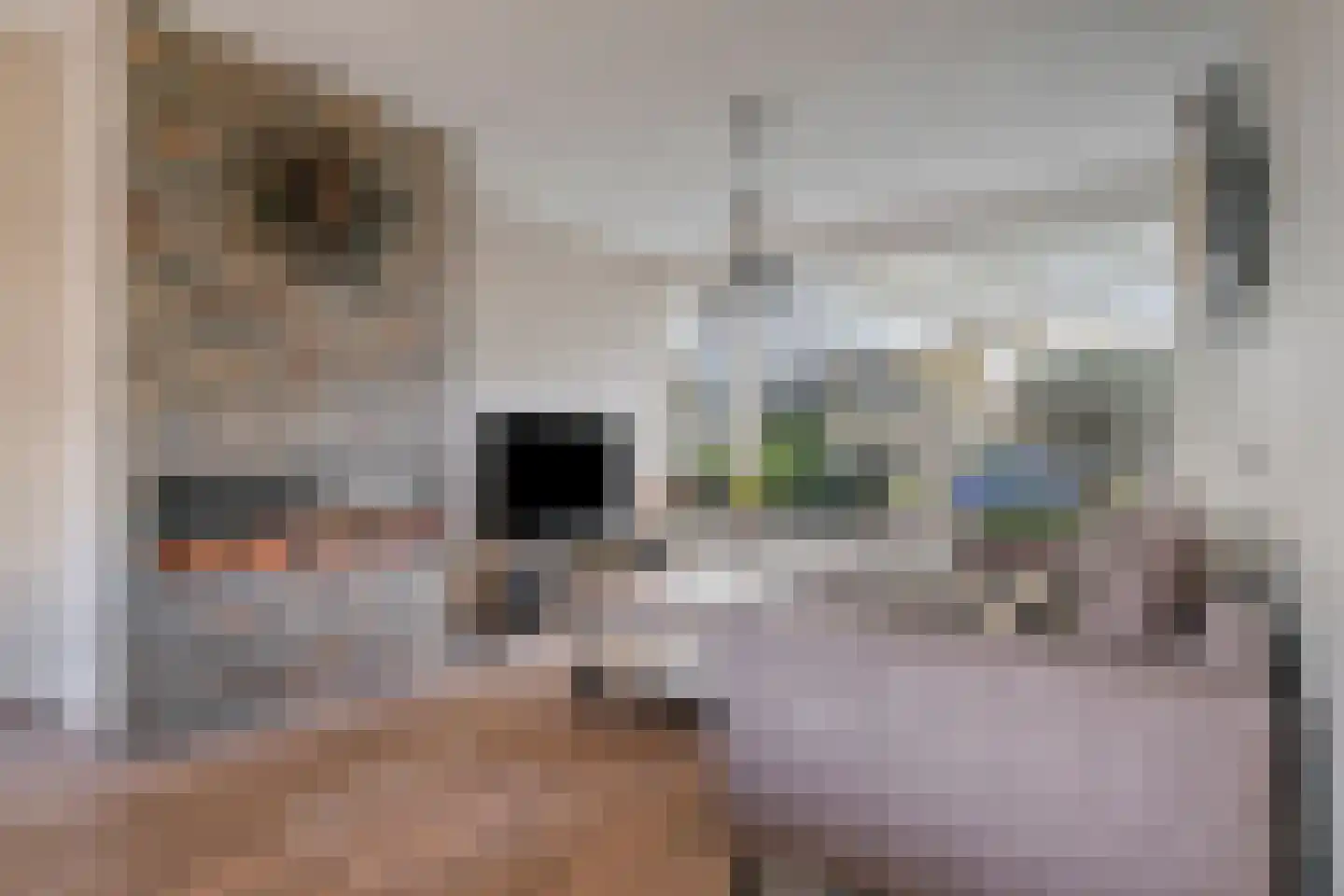Kard. de Jongstraat 43 Valkenswaard thumbnail 9
