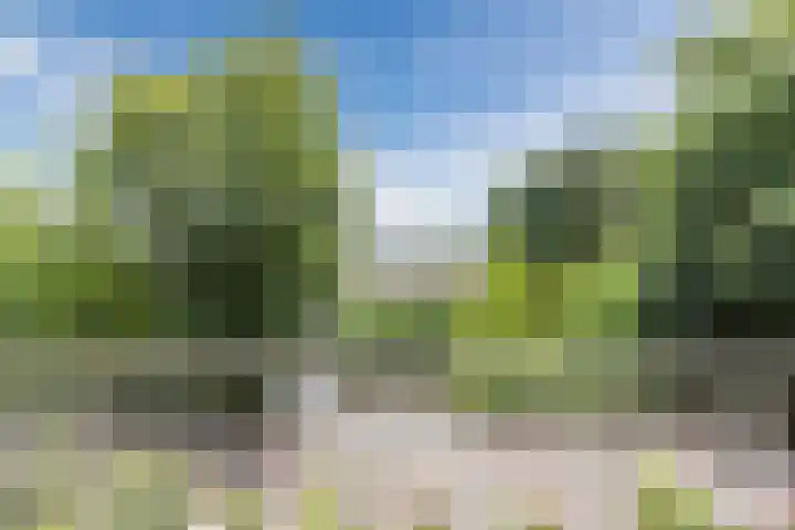 Kard. de Jongstraat 5 C Valkenswaard thumbnail 27