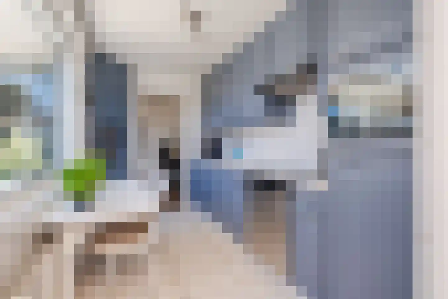 Kard. de Jongstraat 55 Valkenswaard thumbnail 15