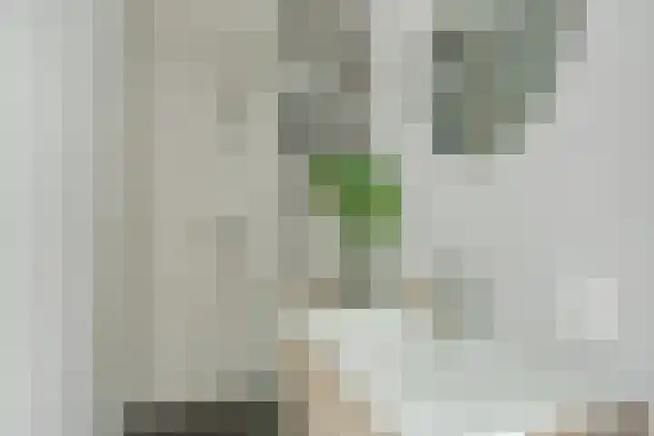 Kard. de Jongstraat 85 Valkenswaard thumbnail 23
