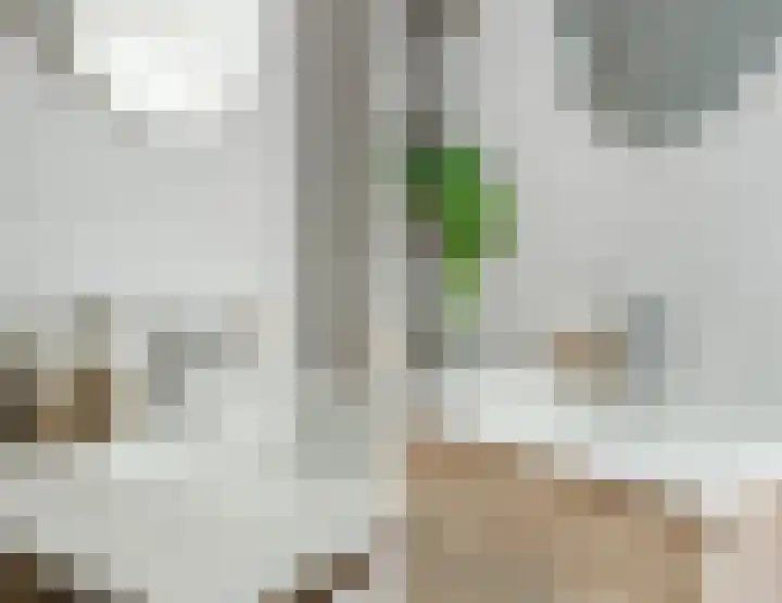 Kard. de Jongstraat 85 Valkenswaard thumbnail 25