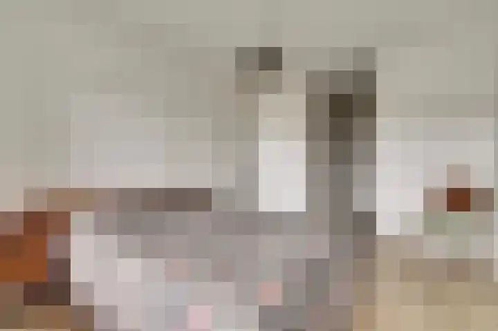 Kardeel 121 Raamsdonksveer thumbnail 13