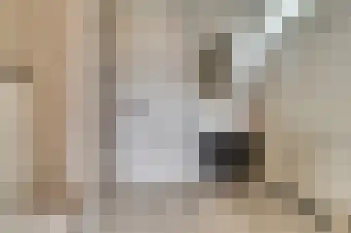 Kardeel 121 Raamsdonksveer thumbnail 16