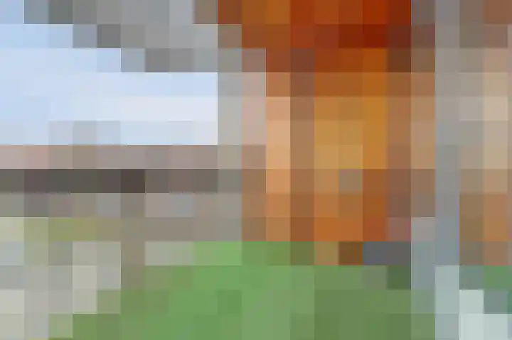 Kardeel 121 Raamsdonksveer thumbnail 19