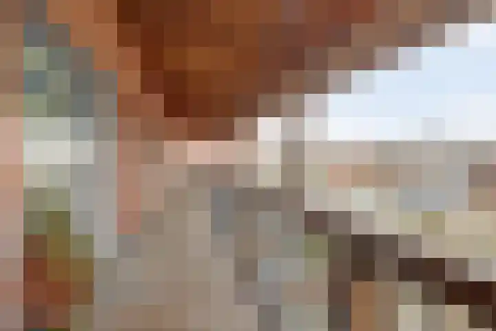 Kardeel 121 Raamsdonksveer thumbnail 20