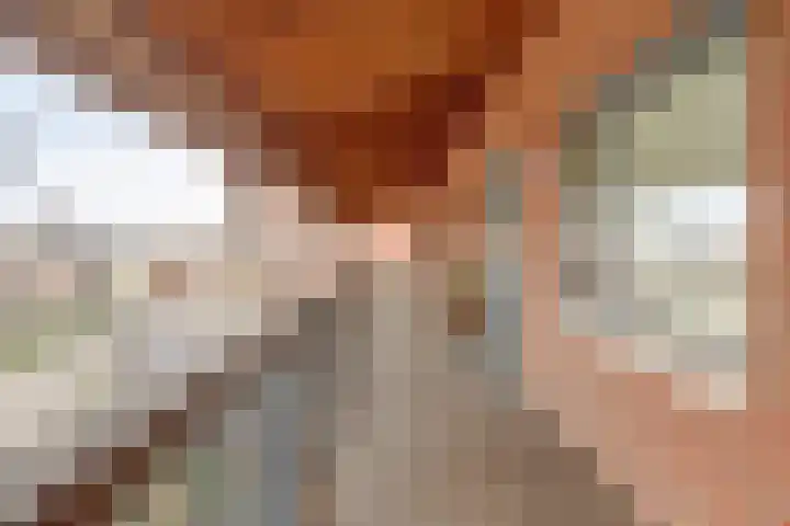 Kardeel 121 Raamsdonksveer thumbnail 21