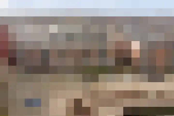 Kardeel 121 Raamsdonksveer thumbnail 24