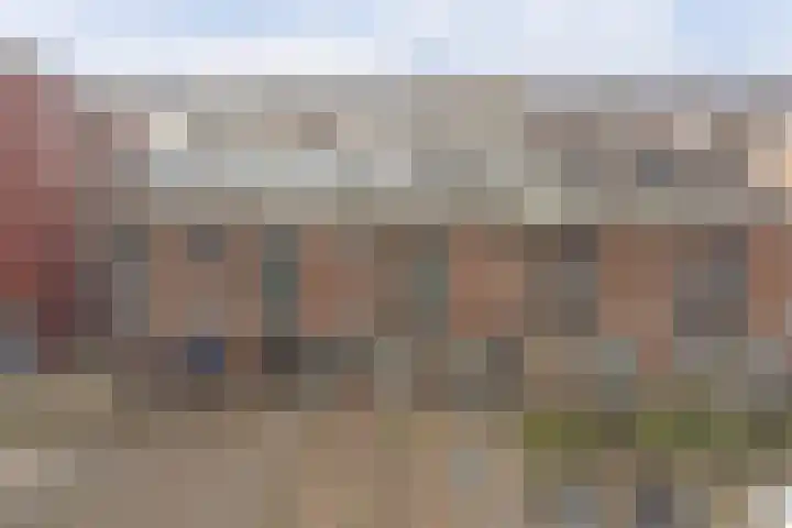 Kardeel 121 Raamsdonksveer thumbnail 25