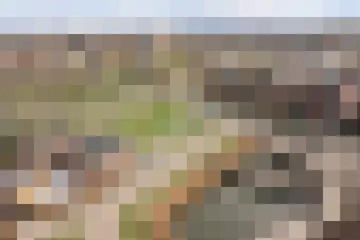 Kardeel 121 Raamsdonksveer thumbnail 26
