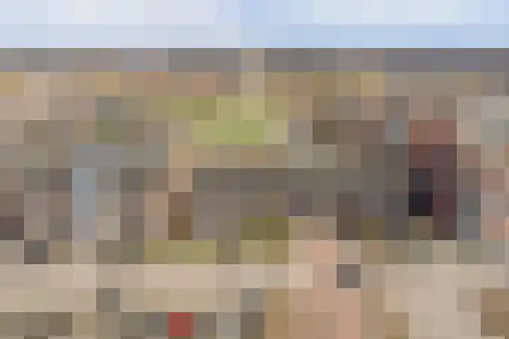 Kardeel 121 Raamsdonksveer thumbnail 27