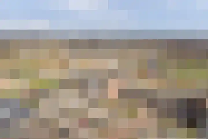Kardeel 121 Raamsdonksveer thumbnail 28