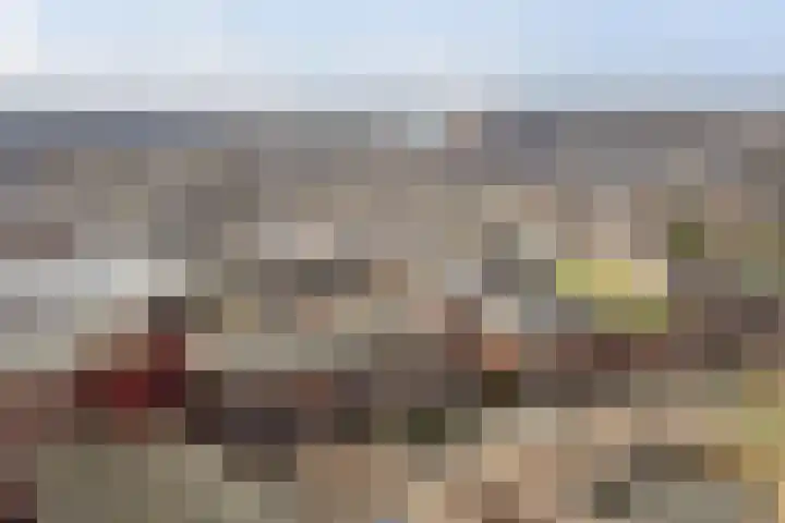 Kardeel 121 Raamsdonksveer thumbnail 29