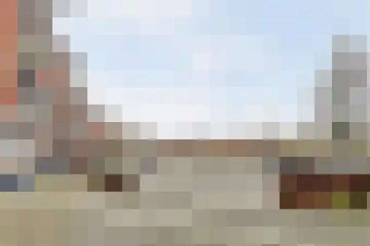 Kardeel 121 Raamsdonksveer thumbnail 30