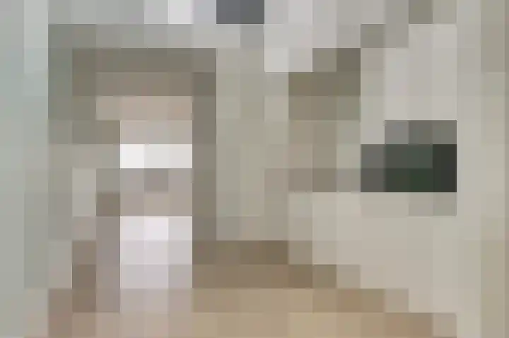 Kardeel 121 Raamsdonksveer thumbnail 4
