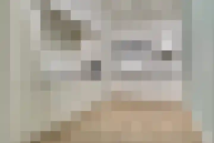 Kardeel 121 Raamsdonksveer thumbnail 5