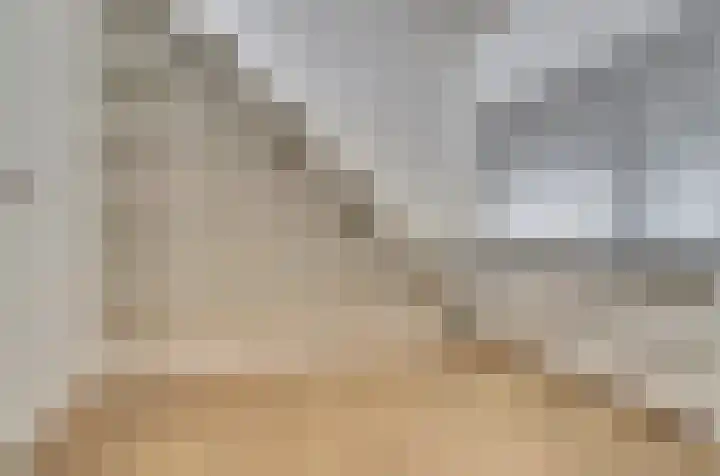 Kardeel 121 Raamsdonksveer thumbnail 7