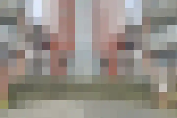 Kardeel 121 Raamsdonksveer thumbnail 9
