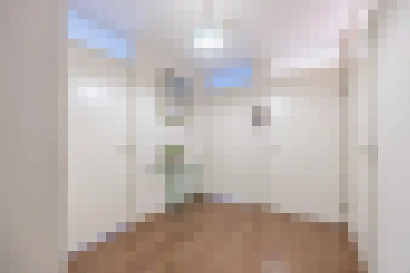 Kardeel 151 Raamsdonksveer thumbnail 13