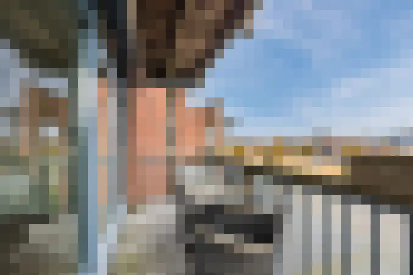 Kardeel 151 Raamsdonksveer thumbnail 30