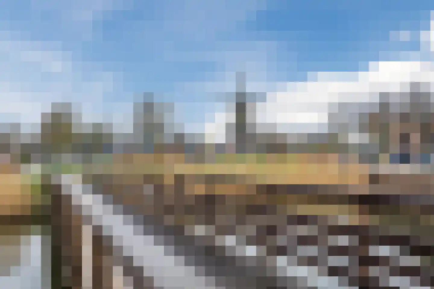 Kardeel 151 Raamsdonksveer thumbnail 34