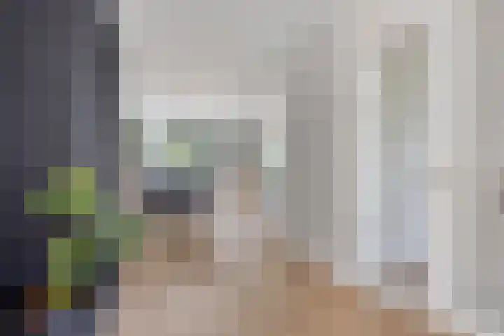 Kardeel 24 Oudewater thumbnail 10