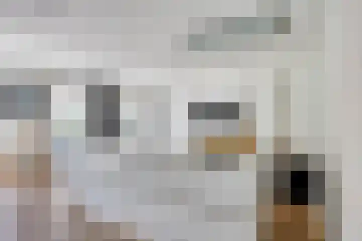 Kardeel 24 Oudewater thumbnail 11