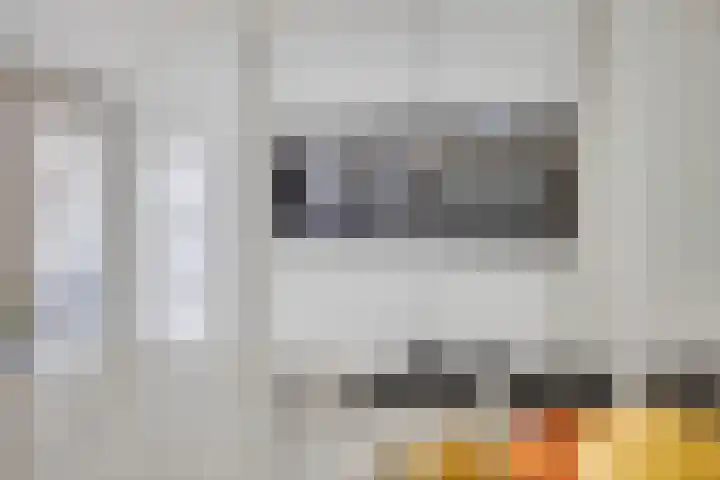 Kardeel 24 Oudewater thumbnail 13