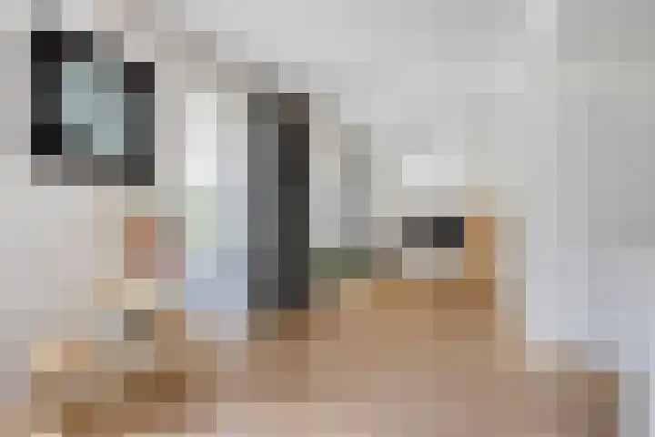 Kardeel 24 Oudewater thumbnail 15
