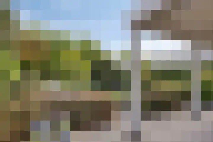 Kardeel 24 Oudewater thumbnail 18