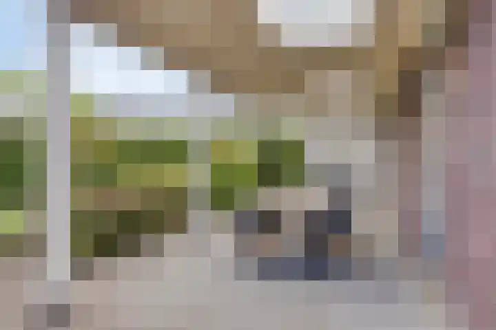 Kardeel 24 Oudewater thumbnail 19