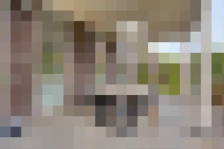 Kardeel 24 Oudewater thumbnail 21