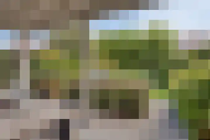 Kardeel 24 Oudewater thumbnail 22