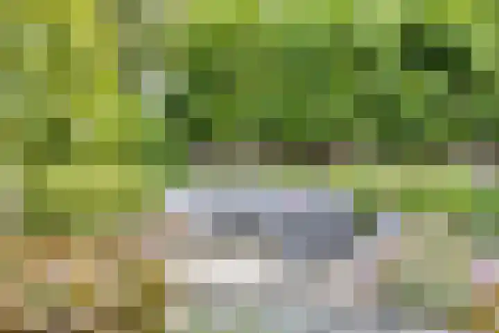 Kardeel 24 Oudewater thumbnail 23