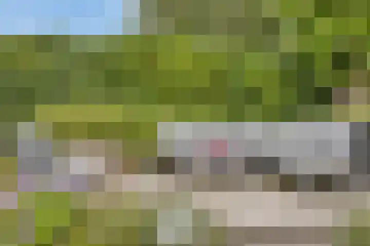 Kardeel 24 Oudewater thumbnail 24