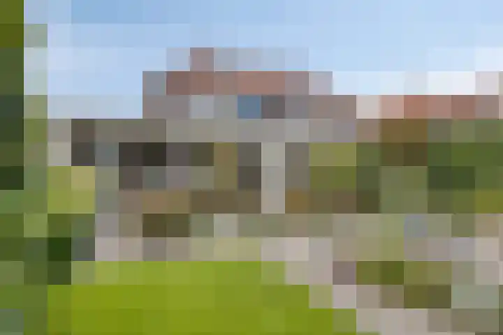 Kardeel 24 Oudewater thumbnail 25