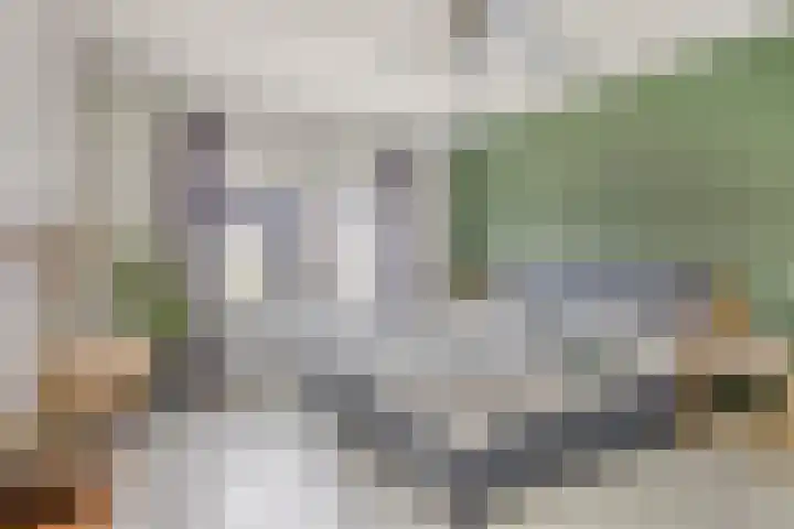 Kardeel 24 Oudewater thumbnail 27
