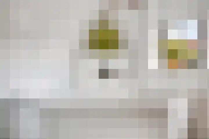 Kardeel 24 Oudewater thumbnail 30