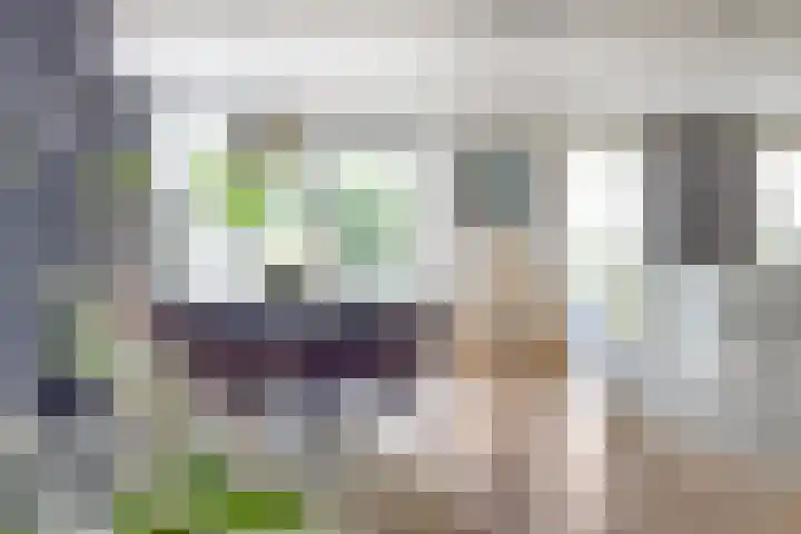 Kardeel 24 Oudewater thumbnail 4
