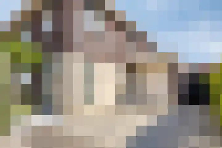 Kardeel 24 Oudewater thumbnail 41