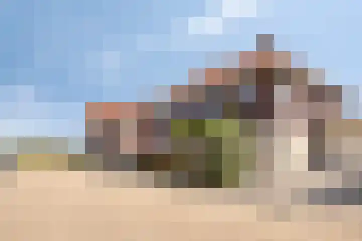 Kardeel 24 Oudewater thumbnail 42