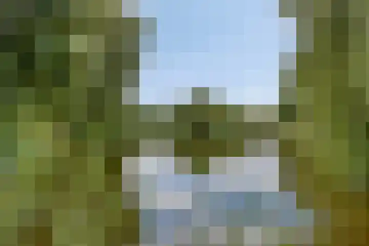 Kardeel 24 Oudewater thumbnail 44
