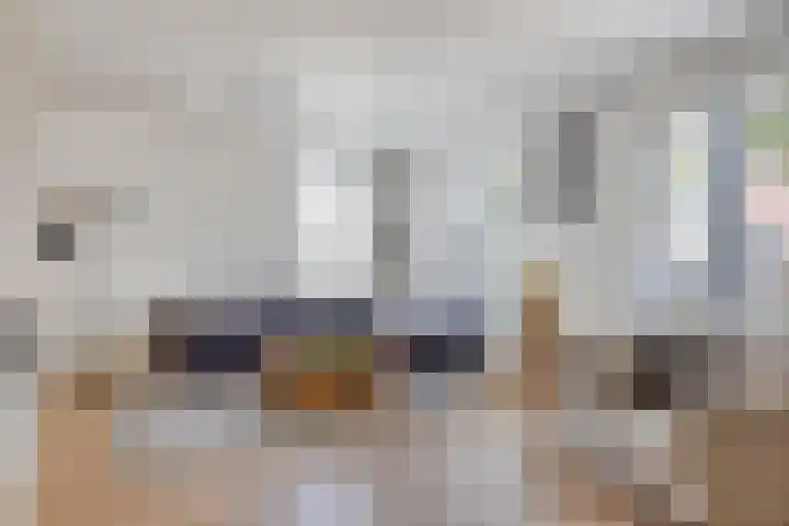 Kardeel 24 Oudewater thumbnail 6
