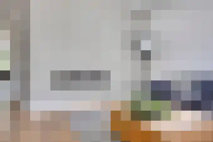 Kardeel 24 Oudewater thumbnail 8
