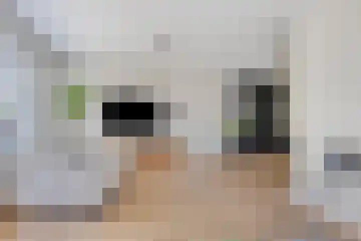 Kardeel 24 Oudewater thumbnail 9